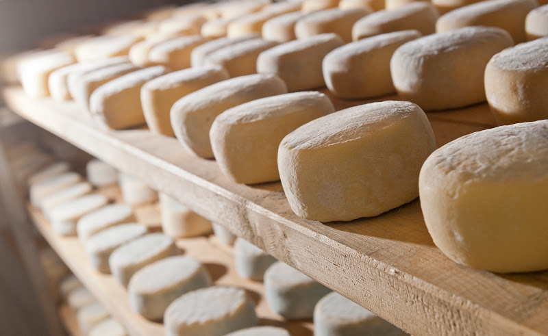 La Stagionatura Del Formaggio Assolatte Assolatte