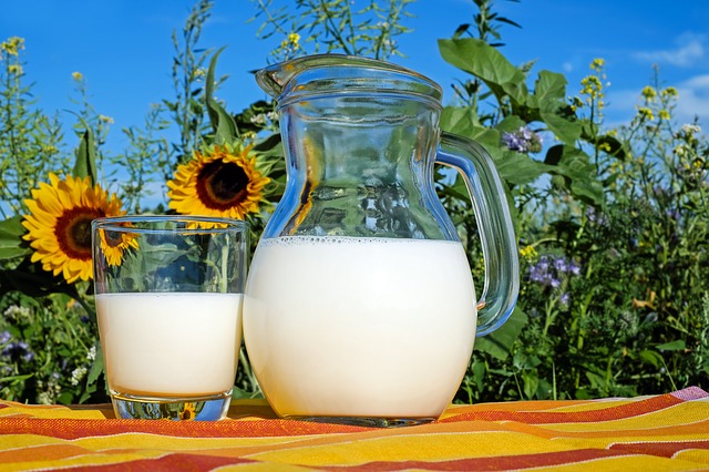 latte e salute-girasoli-natura